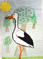 Mižiková Katarína.jpg